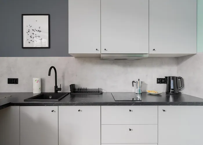 Citystay Rewolucji W Centrum Lodzi 公寓 罗兹